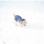 初めての雪