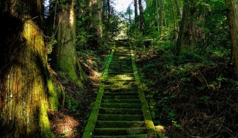 変な世界?夢?みたいな不思議な体験をした『石が鳴く神社』