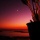 まんまる夕日と、はんぶんお月様の追いかけっこ。