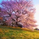 ���⡡�ֺ��ϥ���쥪�󤸤��