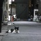 空さんin新宿の夜②～猫と路地裏