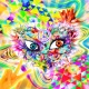 Crazy Love & Peace