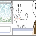 くららんち。【B型夫婦と猫２匹の生活】