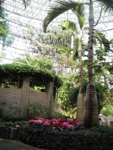 熱帯植物園小田原フラワーガーデン