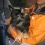 ***��dogrun�ˤơ�***