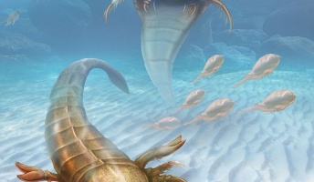 世界最古の巨大な捕食生物「ウミサソリ」が発掘される