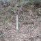 調査登山in猪群山＋西叡山