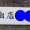 箱入り猫・・・
