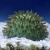 お客様からのリクエスト