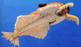 【画像】カンブリア期の生き物とか好きなやつおるか?