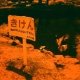 golden half+red scale