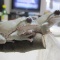 たまには後姿