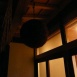 酒林　( Night )