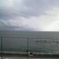 海