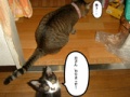 BlogPaint