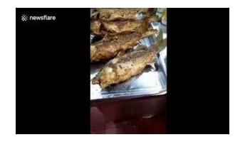 【閲覧注意】唐揚げの魚がビクンビクン動き出す 中国の至高料理が話題に(動画あり)