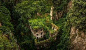 やっぱり自然は強かった!廃墟となり植物に飲み込まれた場所30選