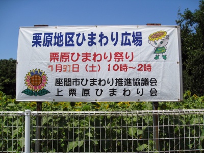 ひまわり祭りのお知らせ