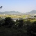里山の裏側