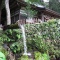 【八ヶ岳観光動画】大滝湧水（北杜市小淵沢町）