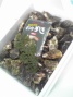 456ecd07.jpg