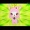��2010/08/07�����������̽�