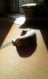 ab757d67.jpg
