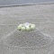 冬の山陰のある日
