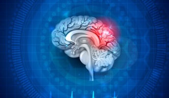 脳死が生物の死と考えてるやつ、考えが浅いんじゃないか?