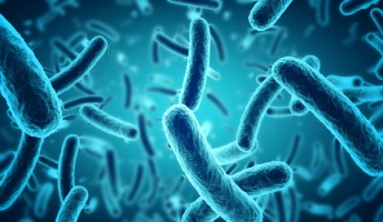 ファーwwww有用微生物群のWikipediaがまるでアンサイクロペディアなんやが【一部リンク先閲覧注意】