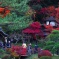 紅葉を見に横浜三景園へ