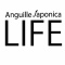 Anguille Japonica blog exhibition ~ life ~