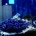 ���餢������ʥĥ��ۥ���,Speckled blue grouper��