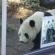 冬の動物園
