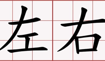 言葉によって「左右」が分からなくなるんだが・・・