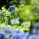 �����餱�ʤ����� act.2