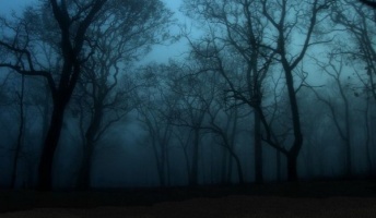 死ぬ程洒落にならない怖い話を集めてみない?『禁句』『危険な好奇心』