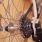 m451T...