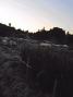 f2764b8c.jpg