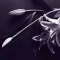 Lilium