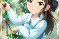 凛「ありすちゃんはプロデューサーとの仲、進展した？」