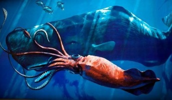 ダイオウイカとかいう巨大生物が実際にいるというロマン!