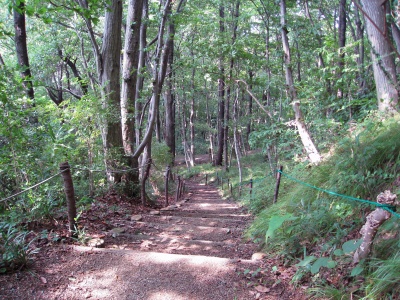 吾妻山公園散策路