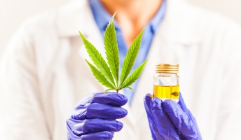 アメリカ「大麻って.....」カナダ「もしかして健康にいい?」日本→