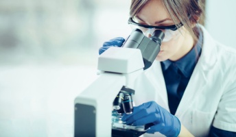 京都大学、iPS細胞から癌細胞を侵食するゾンビキラーT細胞の作成に成功