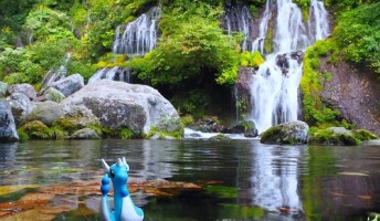 46都府県をポケモンと共に旅して来た(画像あり)
