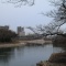 ��ī�β����ζ���̤��ƣգФ����� #okayama #�̿� #��� #����