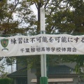 ���ɱϩ �⼣����&���ġ�ƣ�� �ֽ�������Σ���