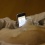 ���Ĥ����Twitter