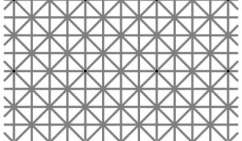 この画像の黒点が12個同時に見えない奴wwwwww
